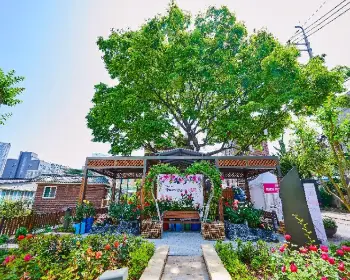 중랑 서울 장미축제_20