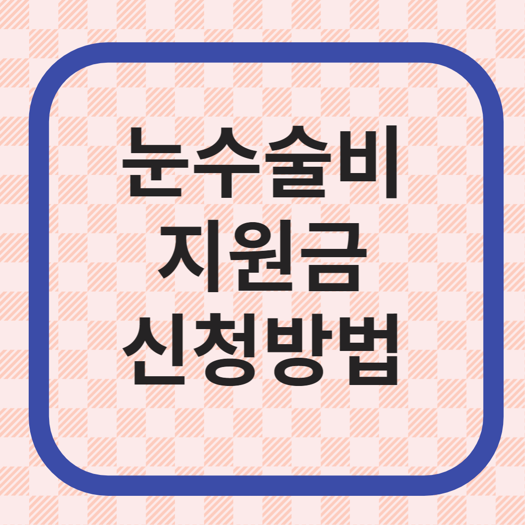 눈수술비 국가지원