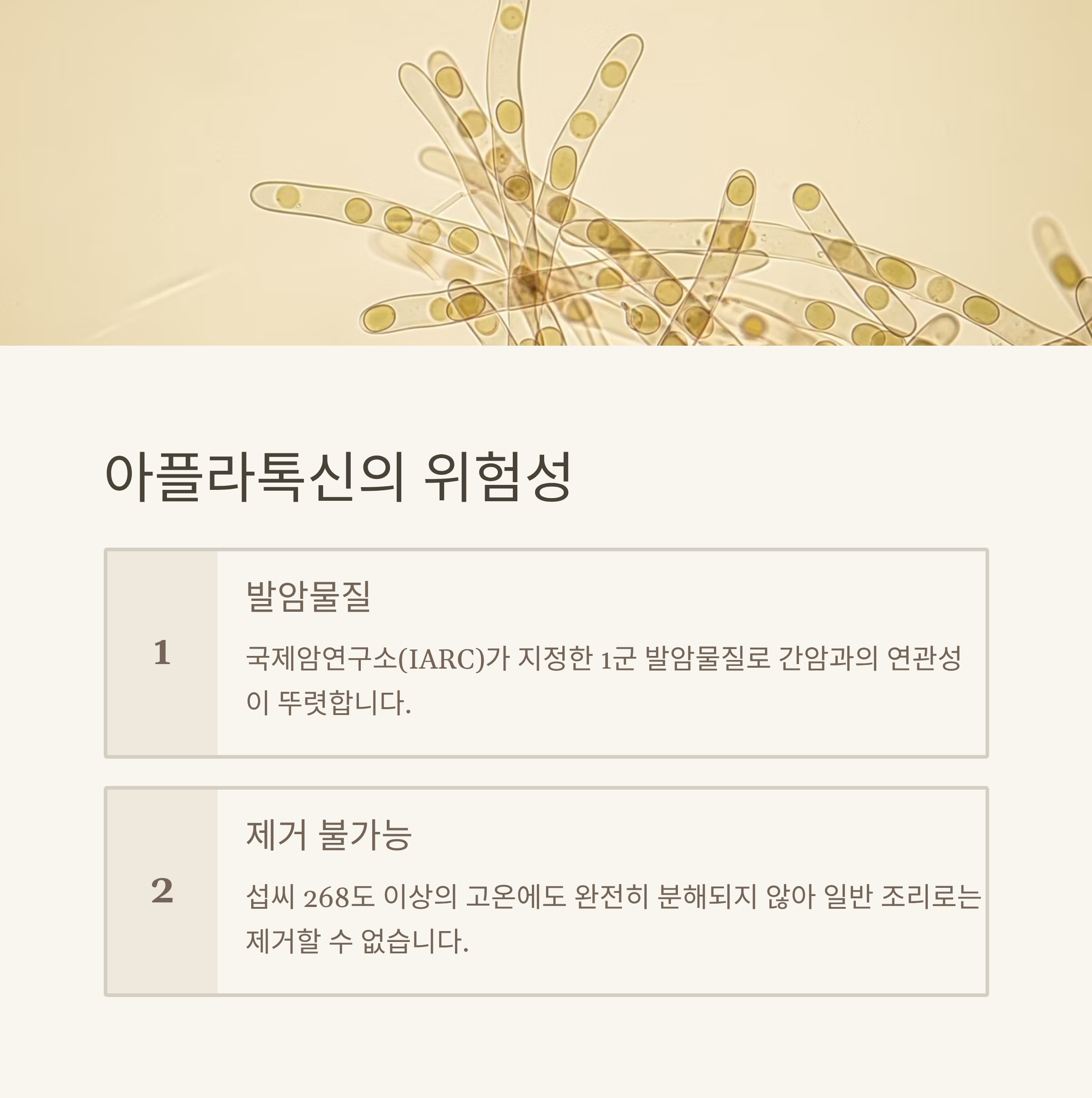 아플라톡신의 위험성