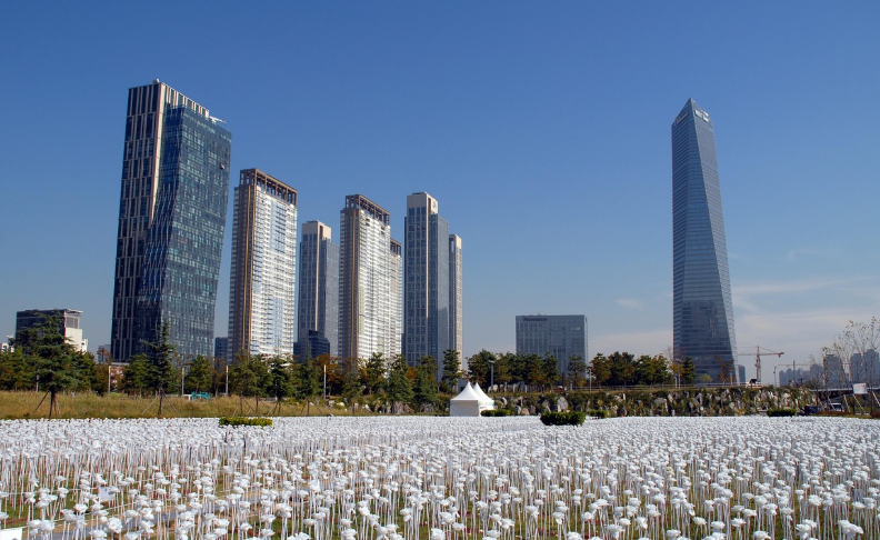 간척사업은 우리 국토를 어떻게 바꿨을까? 바다를 육지로 만든 대한민국의 변화