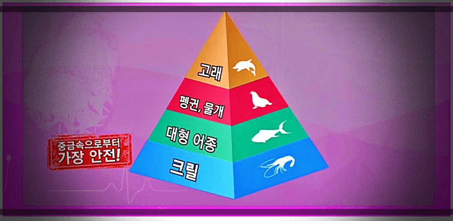 해양-먹이-사슬-소개