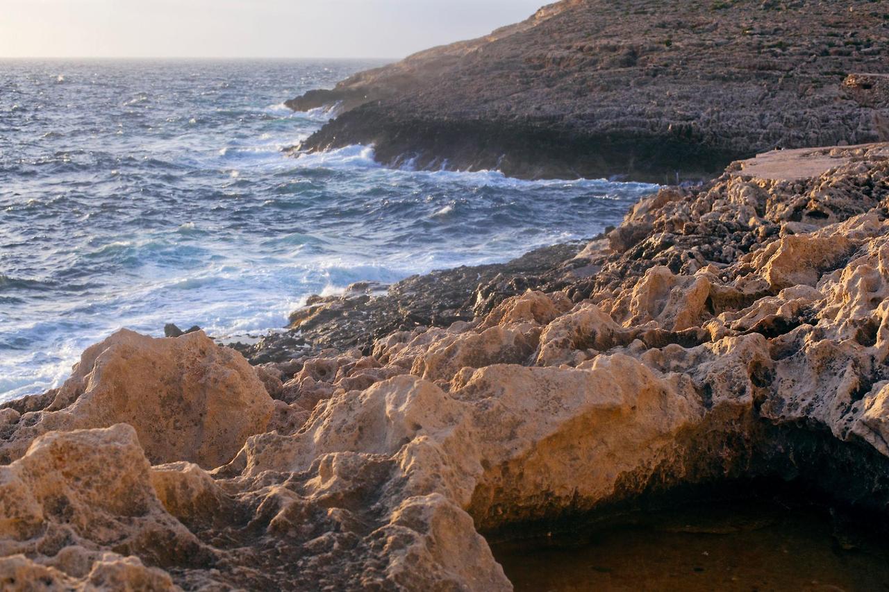 블루 그로토 &amp; 코브 보트 투어 신청하기