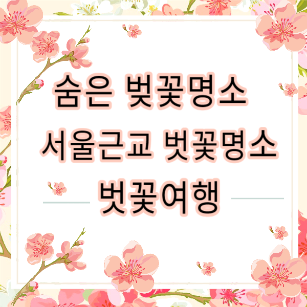 2024 숨은 벚꽃명소 / 수도권 벗꽃명소 벚꽃여행