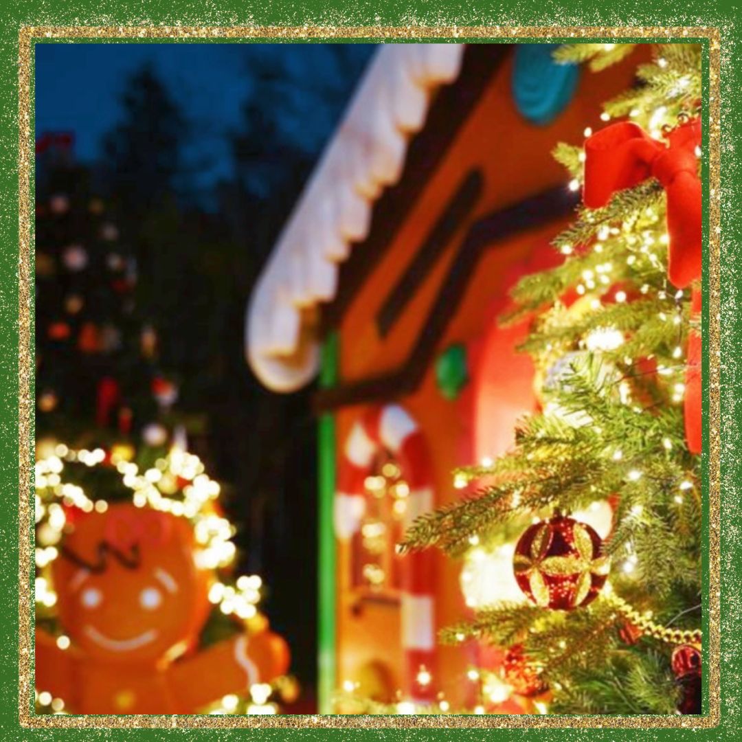 대구/네이처파크/미라클/크리스마스 