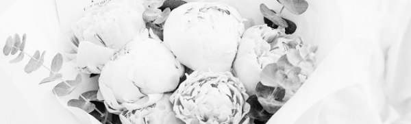 작약 재배법: 관상용