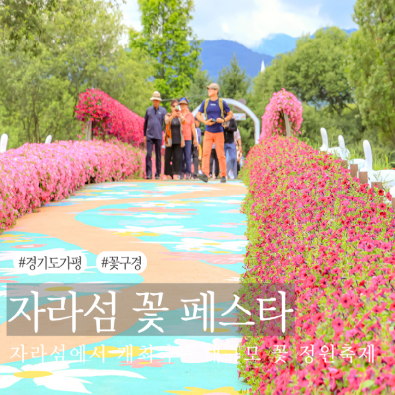 가평 자라섬 꽃 페스타🌸 어디까지 알고 계셨나요?