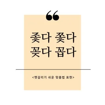 좇다 쫓다 맞춤법 맞는 표현 예문_3