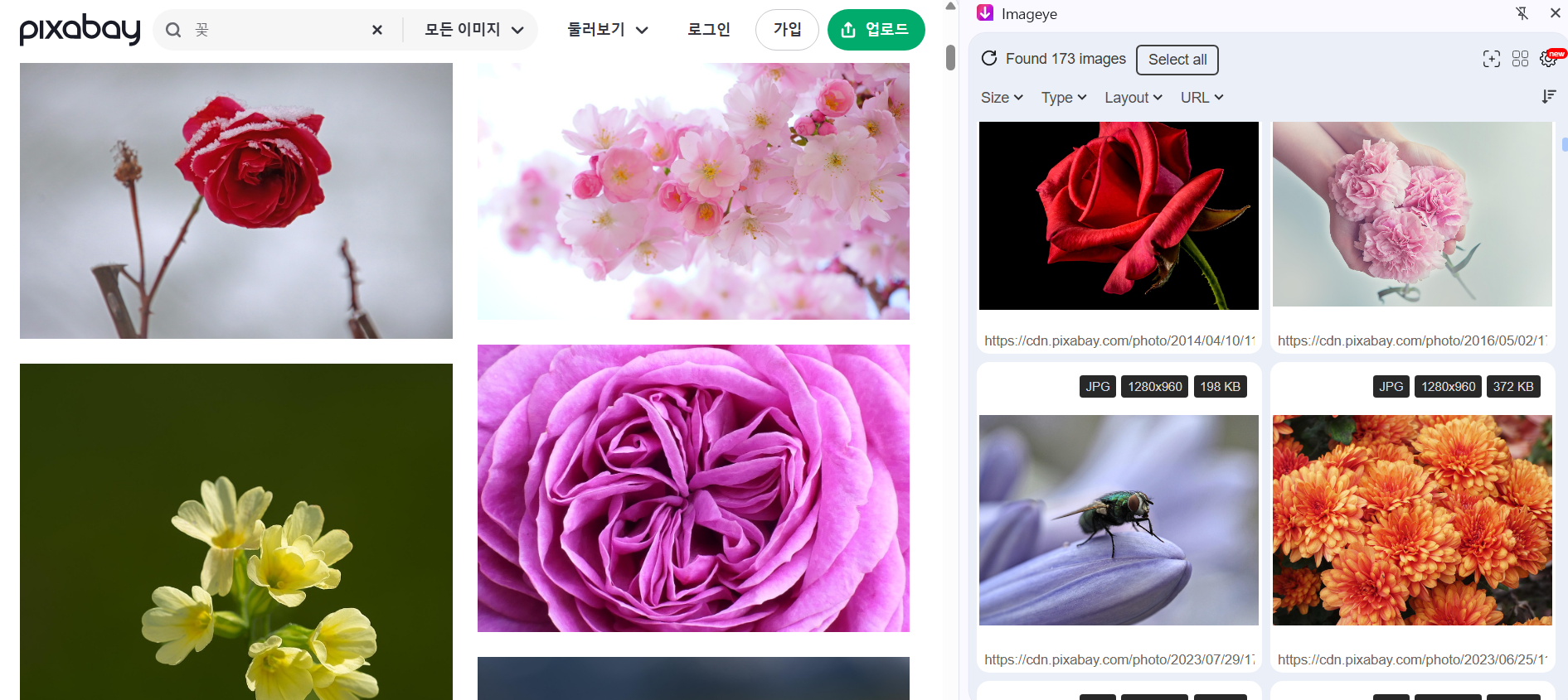 픽사베이 무료 이미지 다운로드(+홈페이지 바로가기)