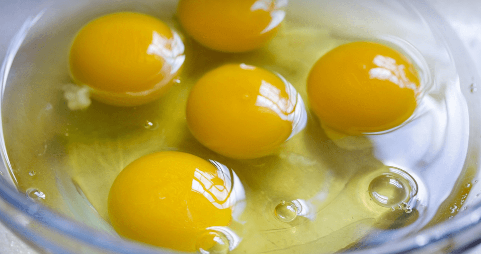 아연이 많은 음식 사진 - 1