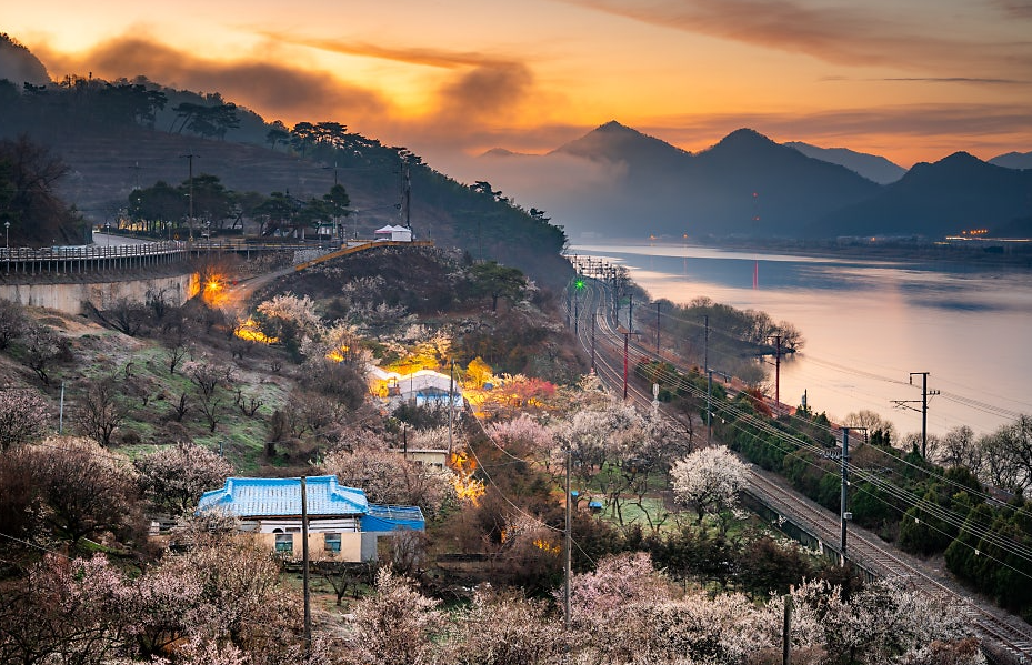 양산 순매원 &amp; 원동역1