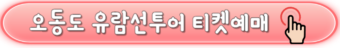 당일치기 여수여행 추천(오동도, 고소천사벽화마을, 향일암, 돌산공원, 여수 해상케이블카)