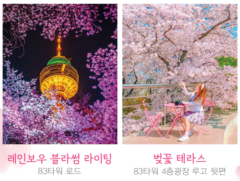 대구 이월드 벚꽃 축제