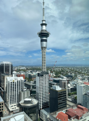 뉴질랜드 신혼여행