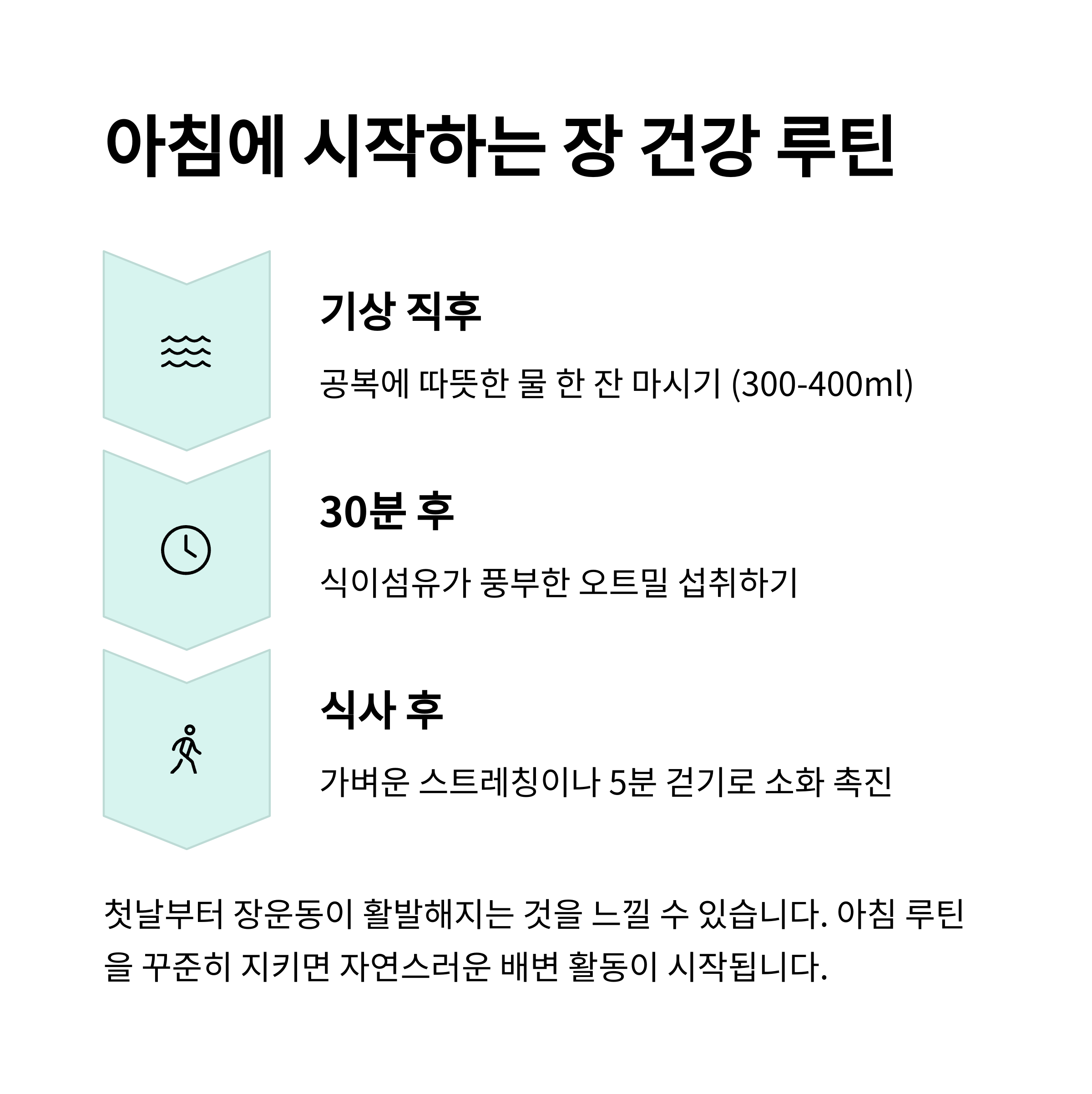 아침 장 건강 루틴 안내 이미지 - 기상 직후 따뜻한 물, 오트밀 섭취, 식후 걷기 등 구체적 실천 단계 소개