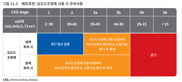 요오드 조영제 사용 시 다이아벡스정(메트포민) 중단 여부