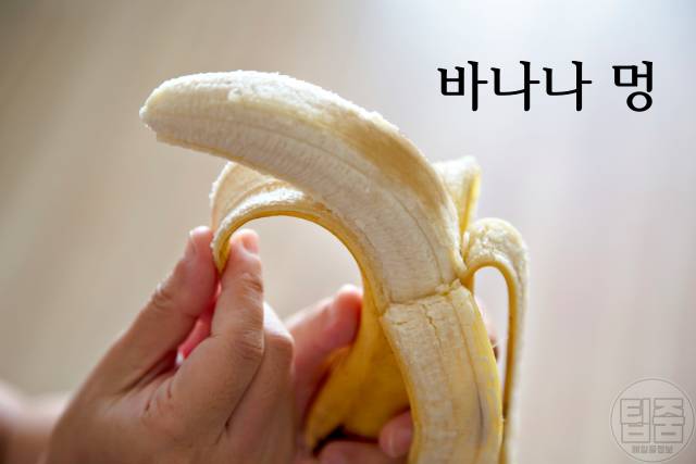 바나나 보관법,바나나 멍,바나나스탠드