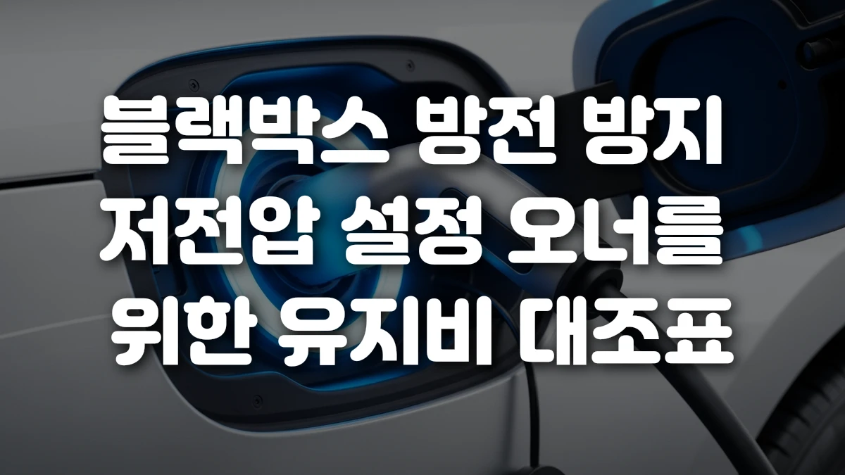 블랙박스 방전 방지 저전압 설정 오너를 위한 유지비 대조표