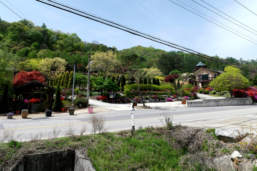 특색 있고 아름다운 민간 정원 30선 추천 여행 - 20. 괴산트리하우스 가든