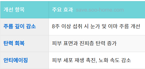 주름 개선과 노화 방지