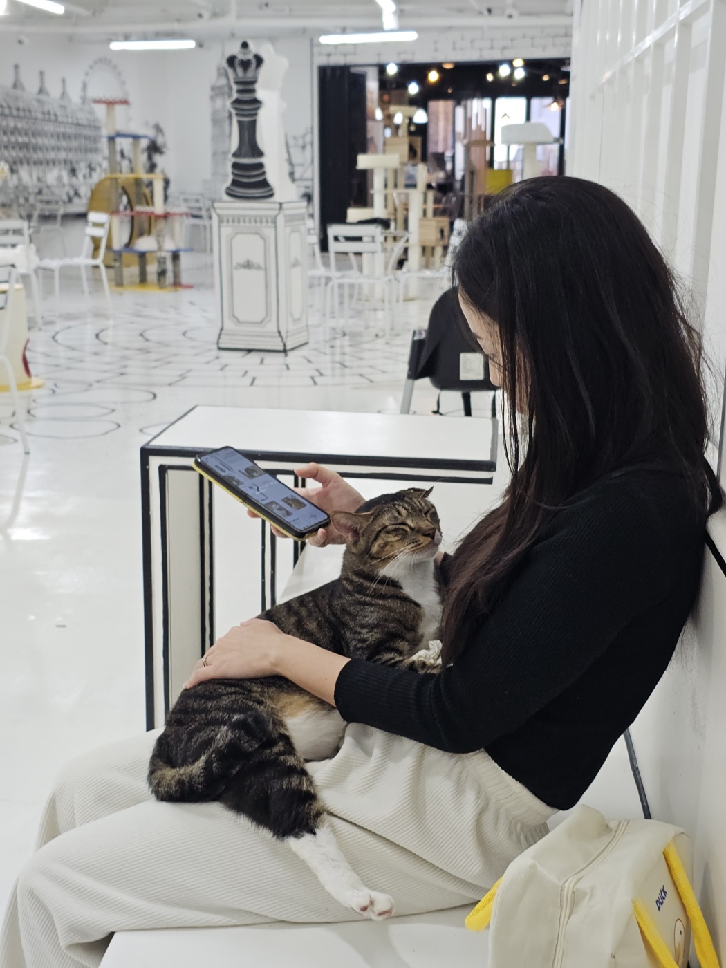 야옹이네 고양이 카페