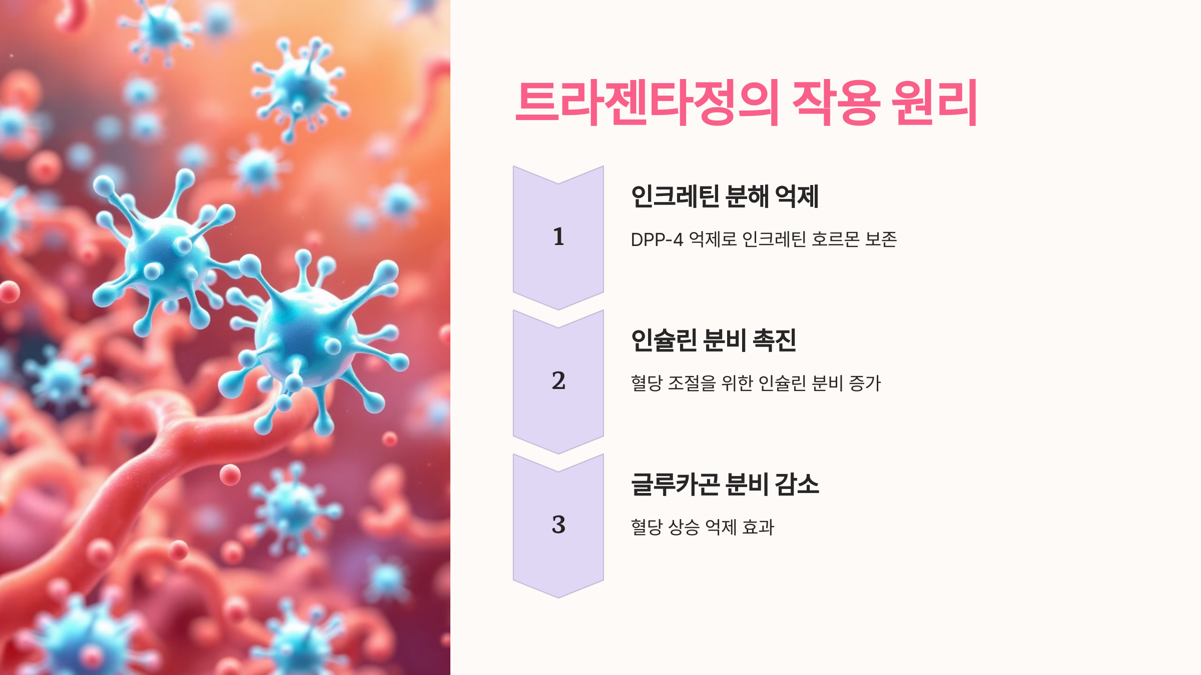 트라젠타정 5mg