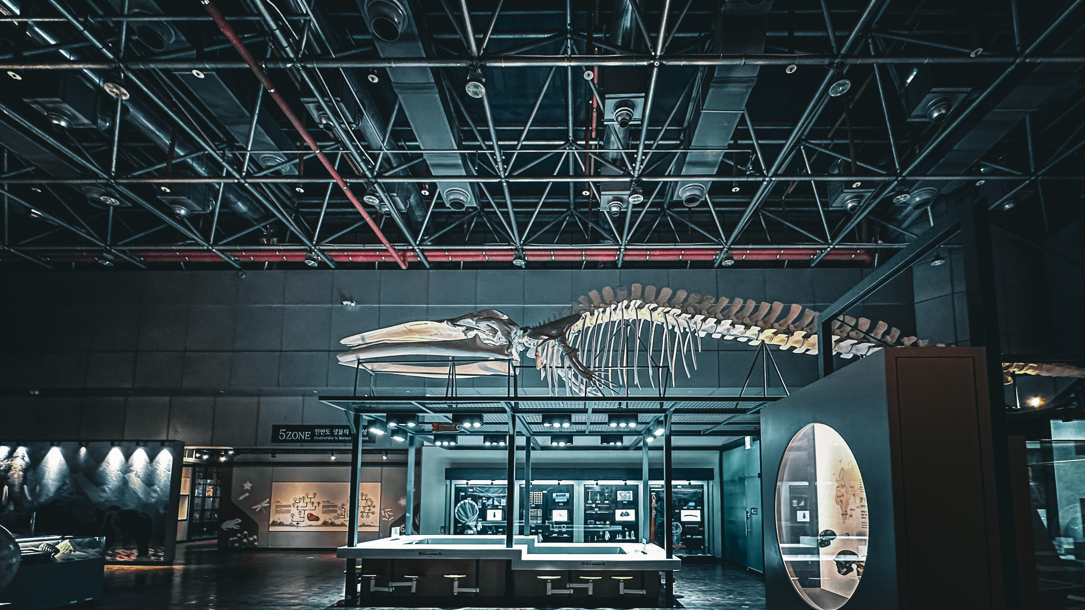 국립 중앙 과학관