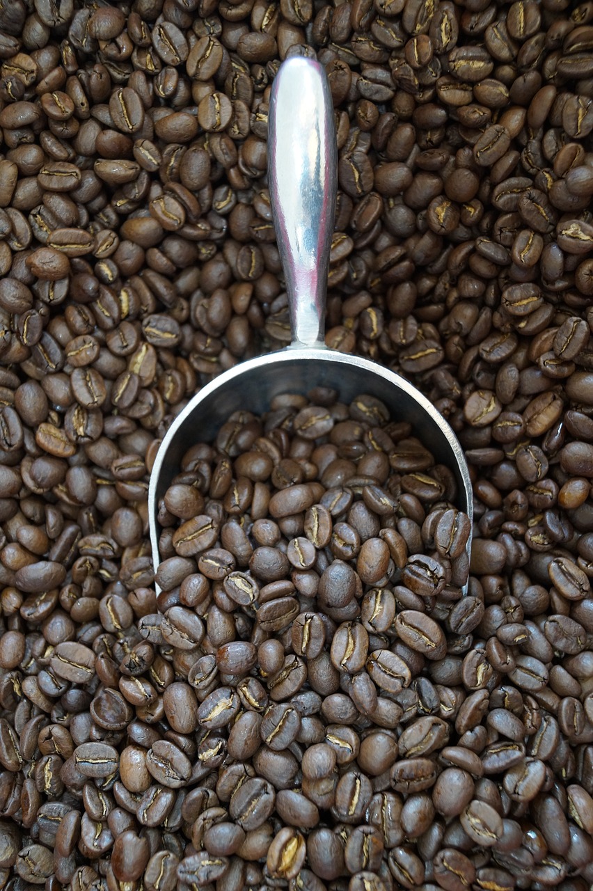 커피 로스팅, 약배전, 중배전, 강배전