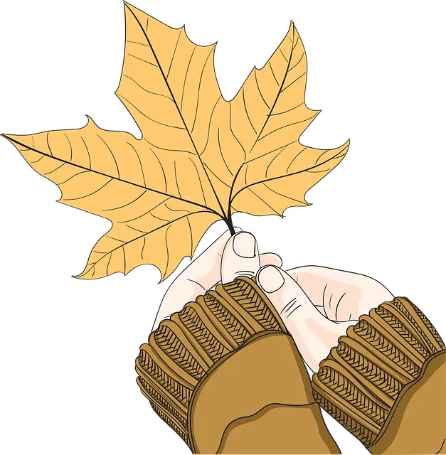 단풍놀이 가볼만한 곳