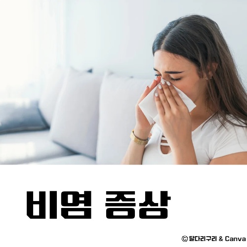 가정용 비염 치료기 추천 치료방법 