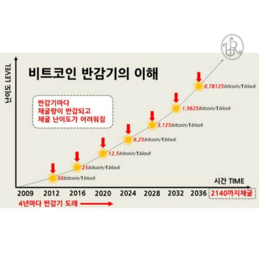 반감기 존재