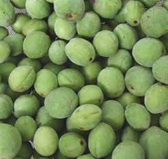 매실 효능과 부작용 고르는법 칼로리