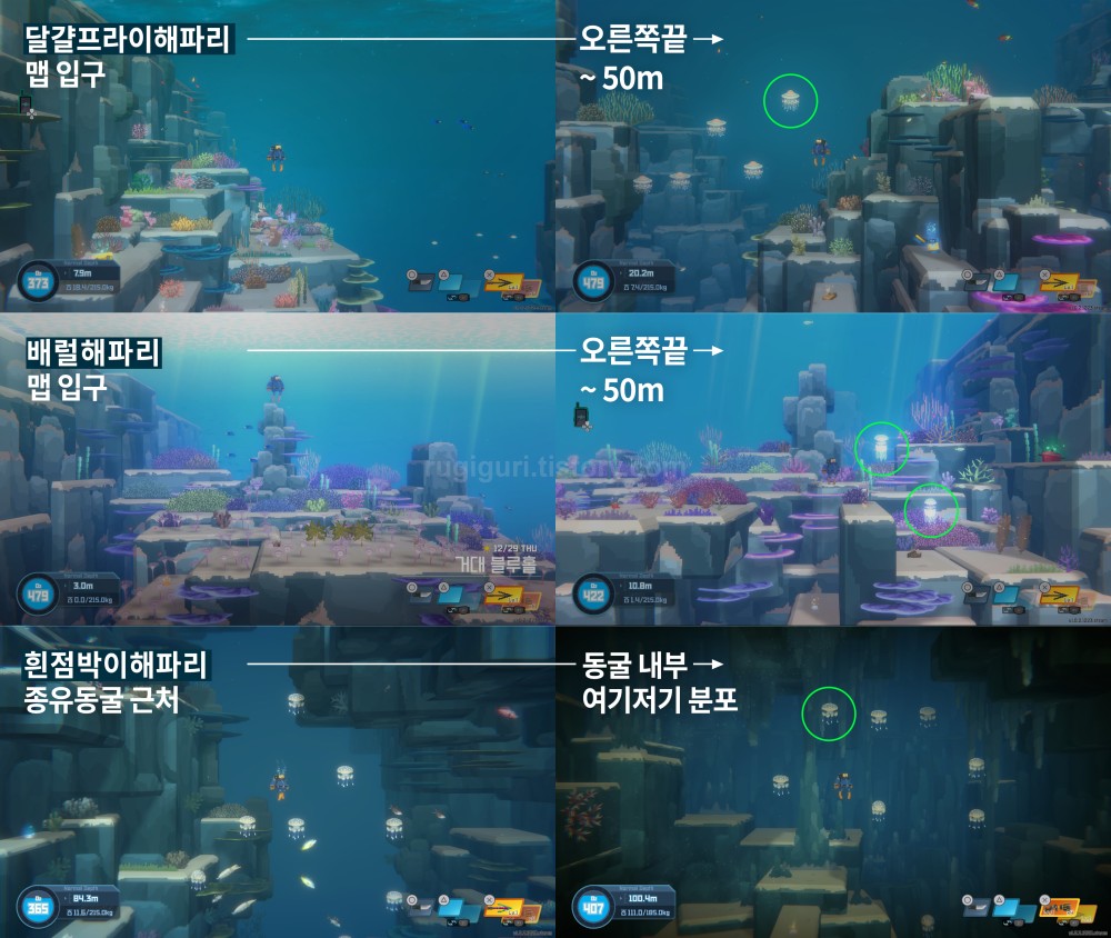 데이브더다이버 해파리 위치