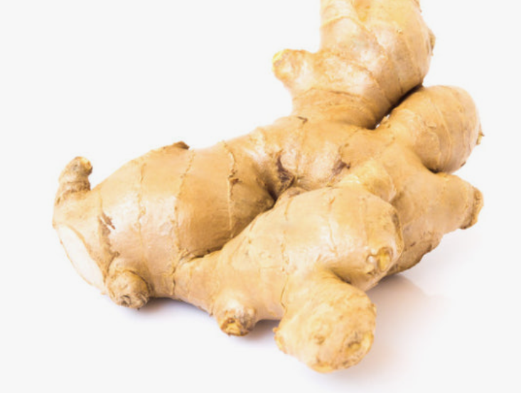 생강의 역사와 문화