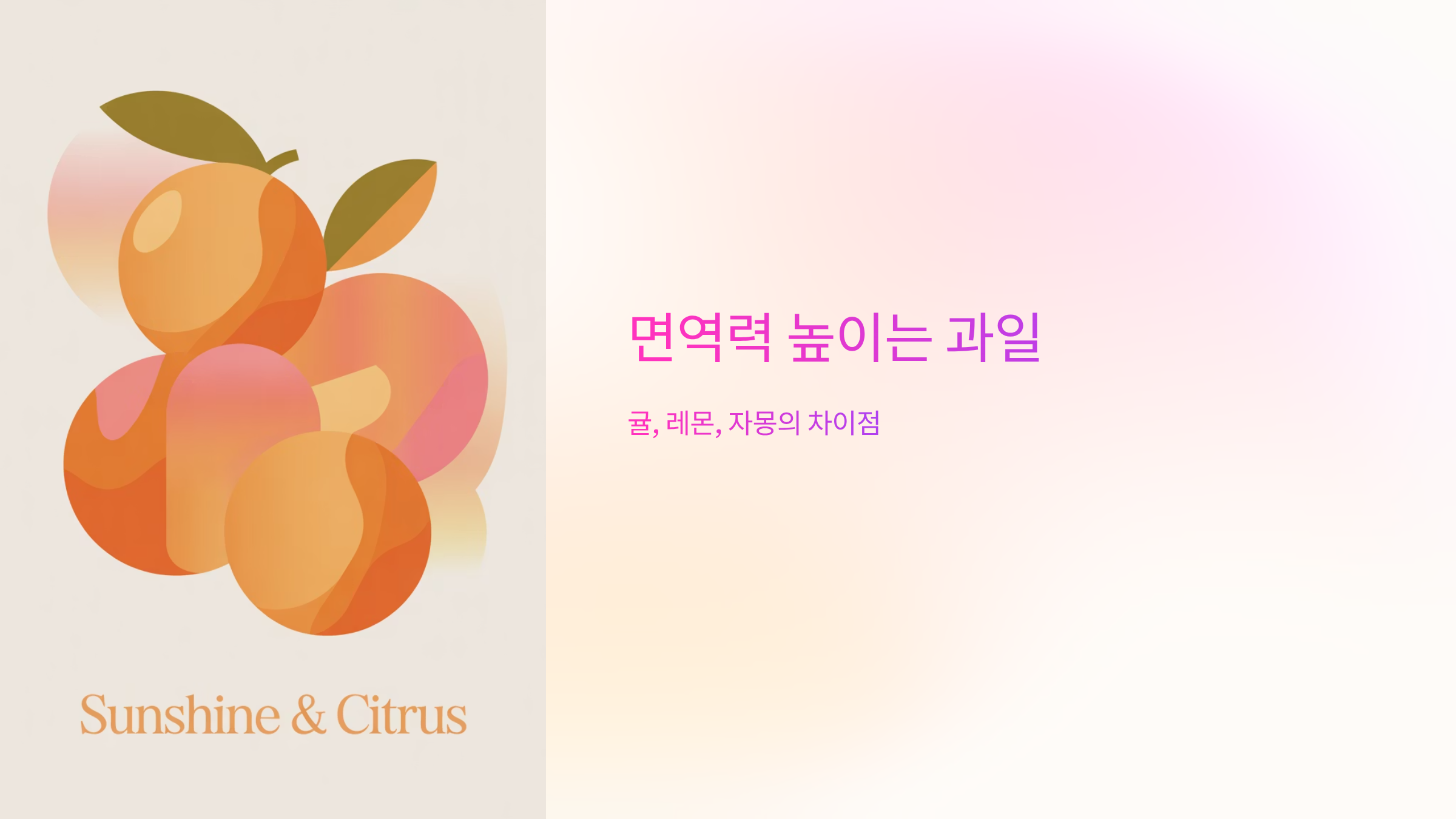 면역력 과일 귤 레몬 자몽 차이점