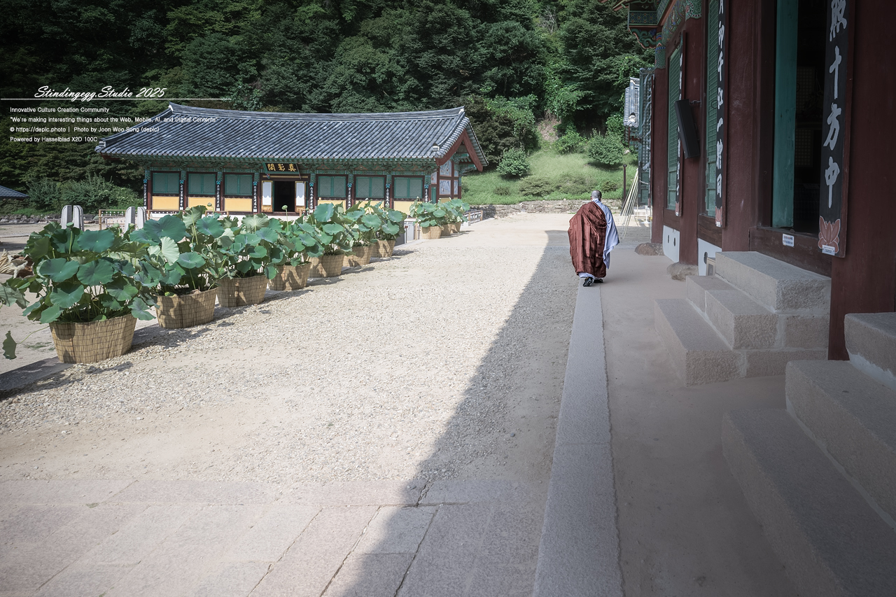 #보은 #법주사 #속리산 #스님 #승려 #불교 #사찰