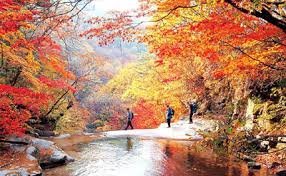 오대산 단풍 드라이브 코스