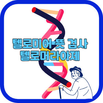 텔로미어 뜻 검사 텔로머라아제