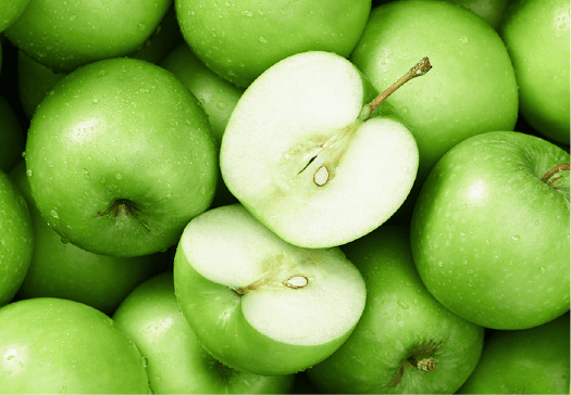 파란통 다이어트 14만원 할인 쿠폰 다운받기