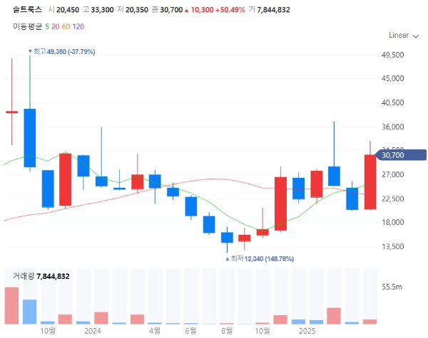 AI에이전트관련주대장주수혜주TOP5_솔트룩스