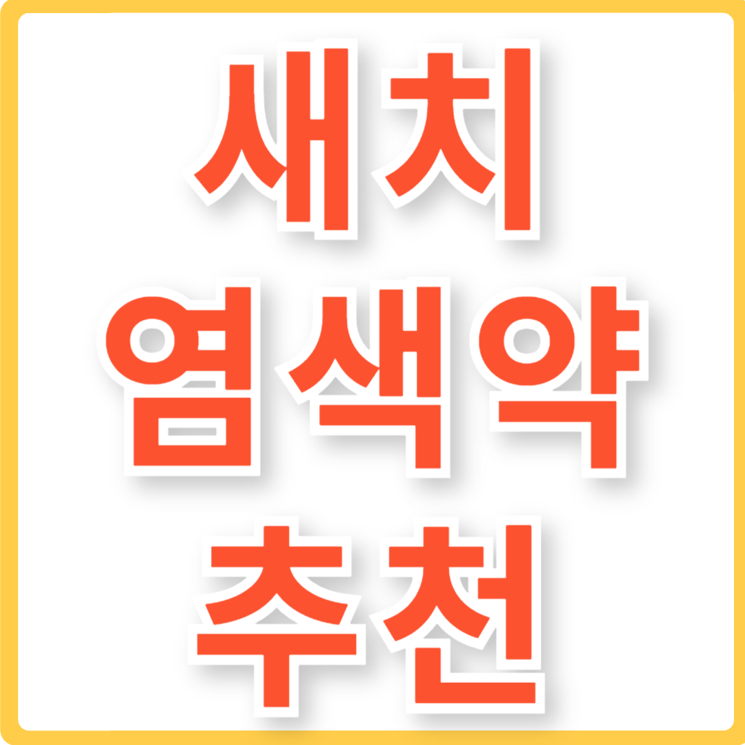 새치 염색약 추천