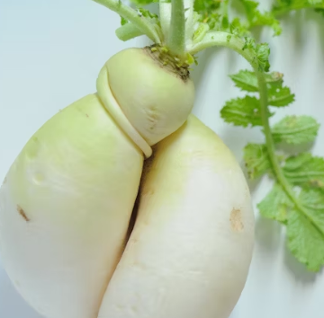 골다공증에 좋은 음식 예방 식단