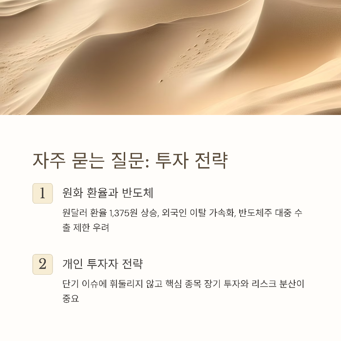 개인 투자자는