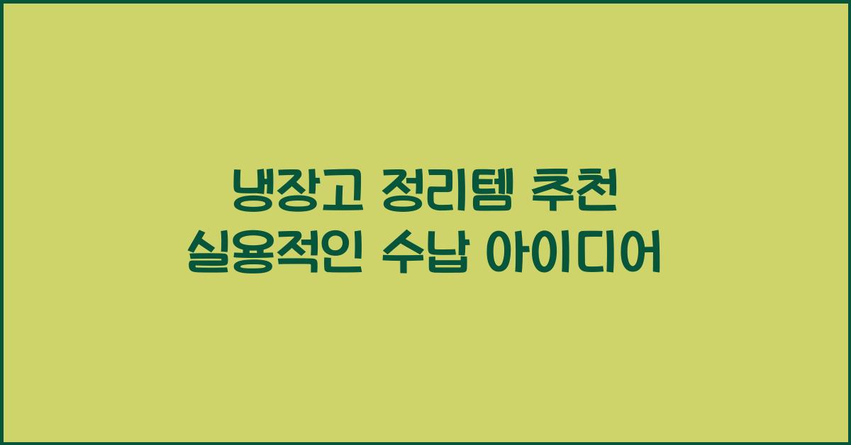 냉장고 정리템 추천