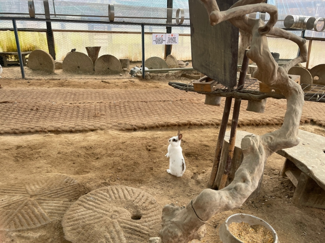 파주 동화힐링캠핑장 카라반 글램핑