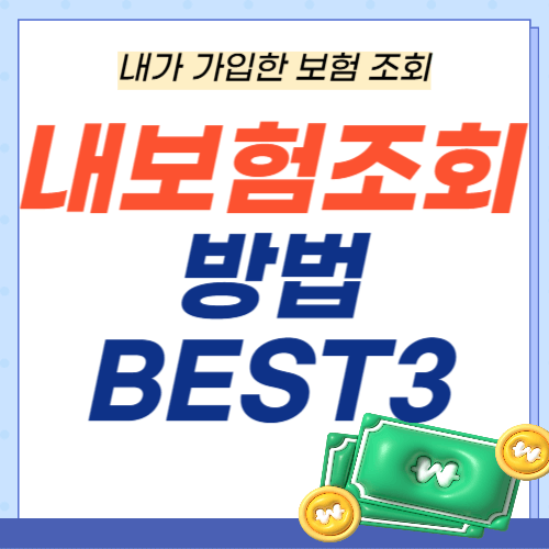 내보험조회-내보험확인-방법