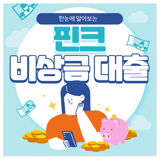 핀크 비상금대출