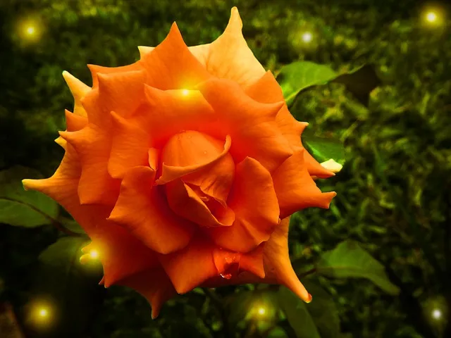 황가람 나는 반딧불 가사 악보 무료 듣기_8