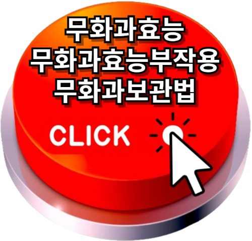 무화과효능, 무화과효능부작용, 무화과보관법