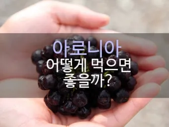 아로니아 먹는 가장 좋은 방법과 생 냉동 분말 활용 팁_3