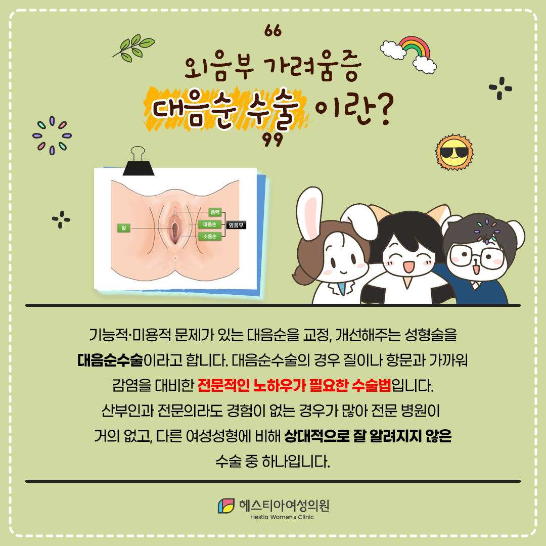 Y존 가려움 대음순수술이란